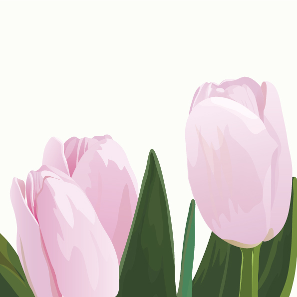 free vector Pink tulips vector